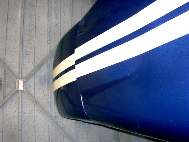 sprayed bonnet